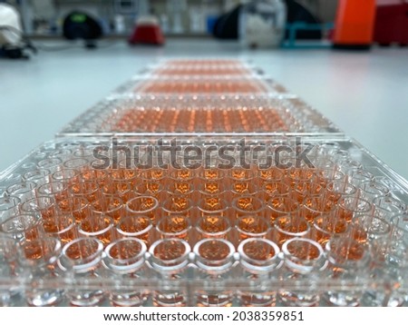 MTT cell viability assay in cancer research Royalty-Free Stock Photo #2038359851