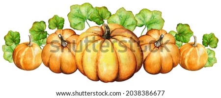 Decorative border, border, lower continuum. Autumn ripe pumpkins with leaves on a white background. Watercolor painting