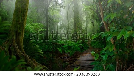 Tropical jungles of Southeast Asia Royalty-Free Stock Photo #2038393283