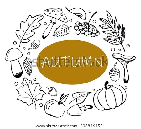 Autumn vector botanical set. Hand-drawn doodle autumn icons