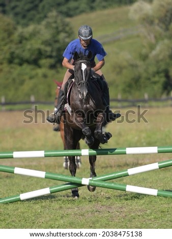 horse rider man jumping over a barrier on show jumping course in equestrian sports competition
