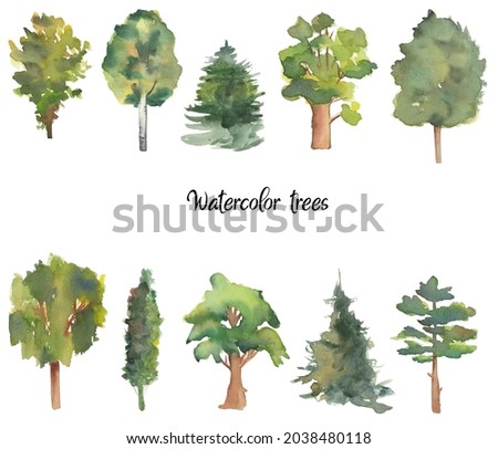 Watercolor green trees isolated on white background. Handpainted handdrawn spring summer trees Pine Birch Ash Chestnut Forest woodland clipart