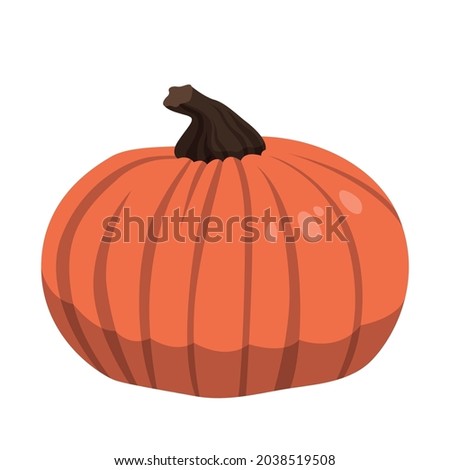Realistic big orange pumpkin on white background - Vector illustration