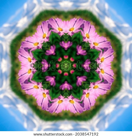 abstract background of flower pattern of a kaleidoscope. pink purple green blue background fractal mandala. square kaleidoscopic arabesque. geometrical ornament floral pattern with cosmos flowers