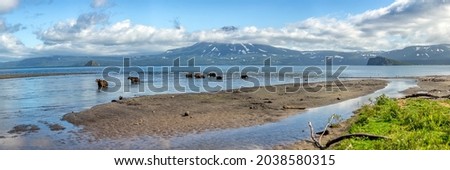 Brown Grizzly Bears Fish For Salmon In A Panoramic Lake In Russia Royalty-Free Stock Photo #2038580315