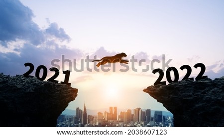 New year concept of 2022. Jumping tiger to 2022. New year's card. Royalty-Free Stock Photo #2038607123