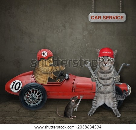 A gray cat auto mechanic with wrenches is fixing red sports car. White background. Isolated.