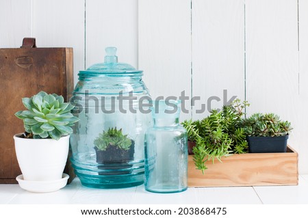 Vintage home decor: houseplants, green succulents, old wooden boxes and vintage blue glass bottles on white wooden board, cozy home interior. Royalty-Free Stock Photo #203868475
