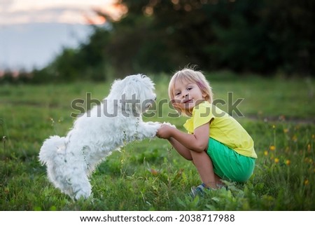 Cute preschool child, blond boy with pink stripes in his hair, taking pictures with his cute maltese dog in the park on sunset