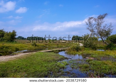 Open land with wet marsh and swamp area.  Royalty-Free Stock Photo #2038729580