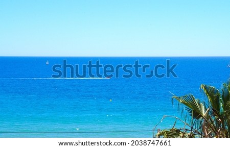                                boat in the sea with palm tree and blue sky