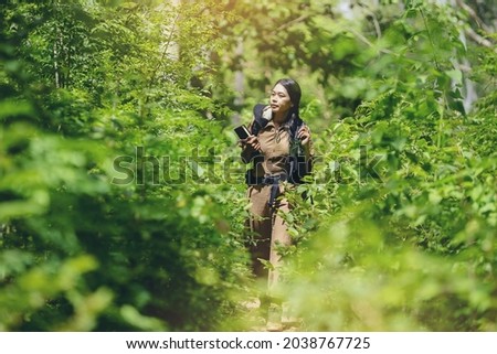 Biologist or botanist recording information about tropical plants in forest. The concept of hiking to study and research botanical gardens by searching for information. Royalty-Free Stock Photo #2038767725