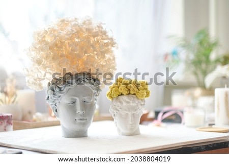 human bust with a potted plant as a spikey hairstyle of Dried Hydrangea flowers Royalty-Free Stock Photo #2038804019
