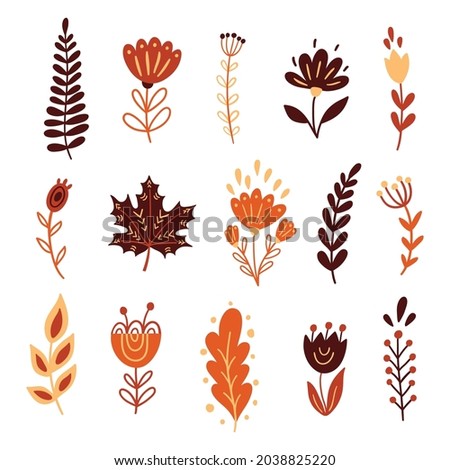 Autumn floral elements, flowers, leaves in doodle style. Cute elements for harvest decorative design, invitation, thanksgiving greeting cards.