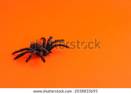 Close up of black horror spider on orange backdrop with copy space. Halloween decoration spooky background concept for holidays