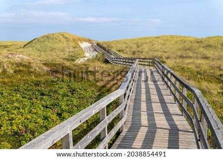 Wooden path through the Dunes to the Beach.