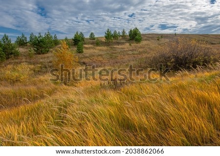 Fall. The valley was touched by the rising morning sun in beautiful autumn colors - landscape photography. Beautiful dramatic sky on a gorgeous autumn day. Serene nature background
