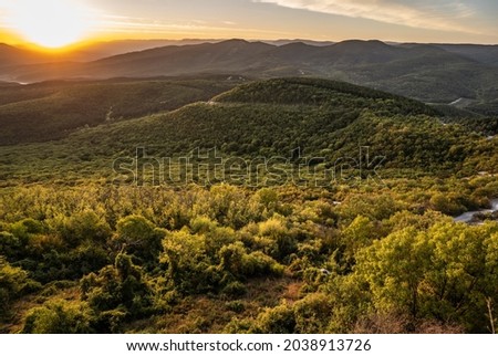 mountain landscape with fairy tales forest trees during sunset