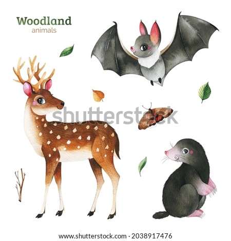 Cute Woodland collection.Watercolor set with funny forest animals-deer,bat,mole,autumn leaves. Perfect for education, 
baby shower,room decor,template cards,books,baby clothes,t-shirt prints.