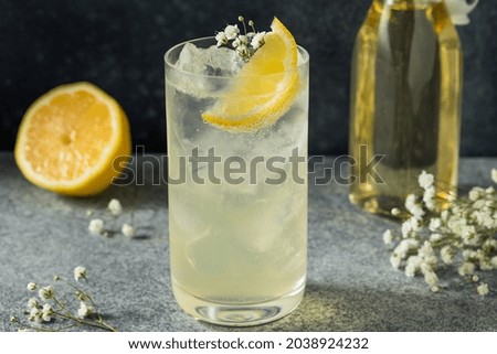 Cold Refreshing Elderflower Drink with Lemon and Soda Royalty-Free Stock Photo #2038924232