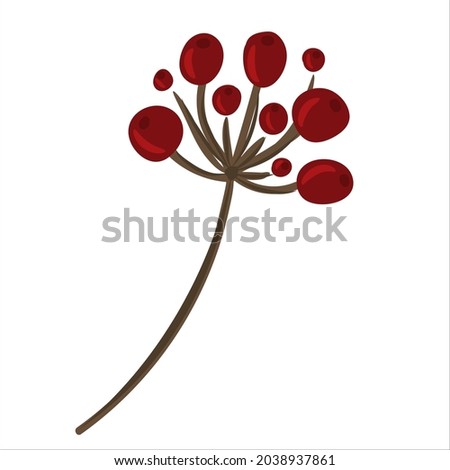 Winter branch with berries. Christmas floral illustration for invitations, greeting card, textile, fabric, posters.
