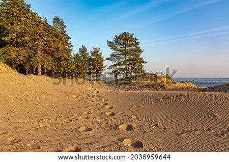 The Gulf of Finland. Komarovo. Leningrad region. Russia. September 29, 2020. Sunset on the Gulf of Finland in Komarovo.  Royalty-Free Stock Photo #2038959644