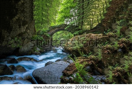 Arched bridge in dark forest over wilderness river Royalty-Free Stock Photo #2038960142