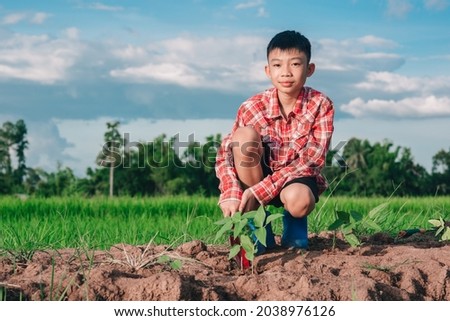 Kids planting the tree in soil on rice field and blue sky background