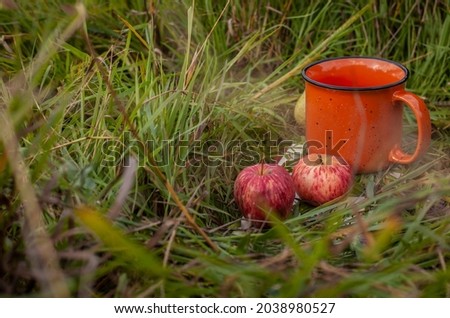Big orange cup and apples in autumn grass. Composition with tea or coffee cup and autumn herbs. Warm autumn concept. Fall weekend getaway. Hygge still life on the ground.