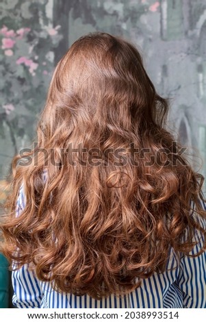 Back view of the girl's long curly hair. The hair is brown. Hairstyle. Close-up.