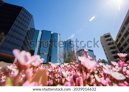 Daytime skyline view of the Woodland Hills area of Los Angeles, California, USA. Royalty-Free Stock Photo #2039016632