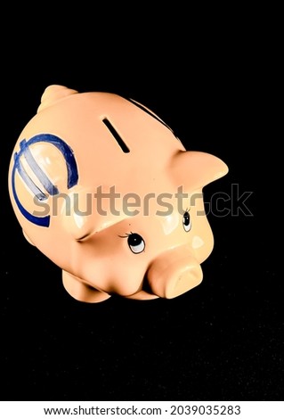 Picture of a Business Money Concept Idea Piggy Bank