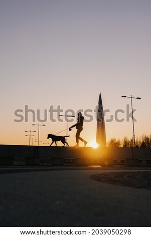 woman walking her dog at sunset, beautiful sunset against the background of modern buildings and buildings in the city, sunset on the shore of the sea or lake, beautiful silhouettes of people at