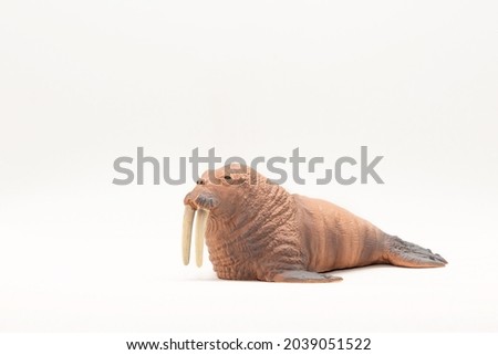 Realistic animal toy, walrus isolated on white background