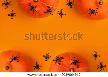 Halloween composition of pumpkins and cartoon black spiders on orange background. Bright holiday backdrop for your design. Creative trendy flat lay with place for text.