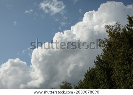 Clouds over the forest. Landscape in nature. Summer weather. The beauty of the sky.