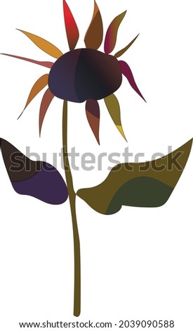 Abstract sunflower with leaves on a white background in vector. Illustration about sunflower for banner, background and greeting card. All elements are editable.