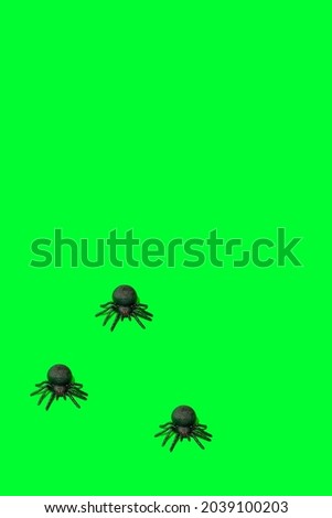 Spiders against zombie vivid green background. Minimal spooky Halloween concept with copy space.