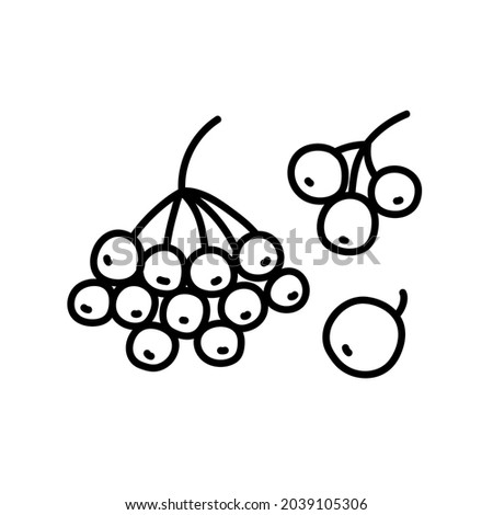 Doodle-an icon of a bunch of rowan berries . Contour image of viburnum fruits. Simple black drawing of plants for stickers, decor, postcards, badges, coloring books, logos. Set of vector plant clipart