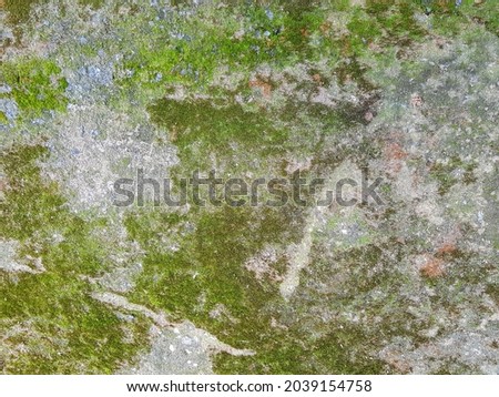 lichen moist concrete texture background