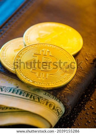 Gold bitcoins on a wallet with US dollars. Macro photography. Cryptocurrency, electronic money, sale and purchase of currency, bitcoin rate to the US dollar, electronic trading.