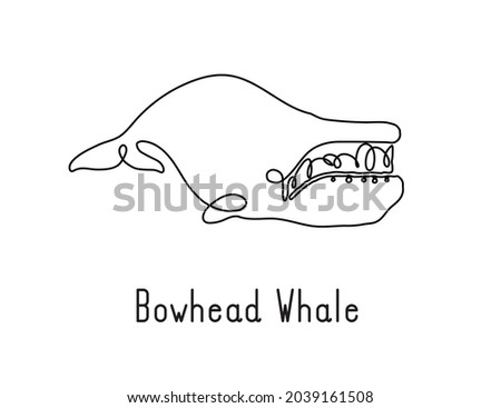 Single continuous line drawing of bowhead whale for marine company logo identity. Big fish mammal animal mascot concept for business logotype. Modern one line draw design illustration vector graphic