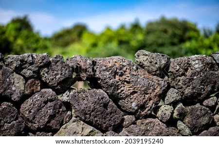 Basalt in Jeju Island, South Korea Royalty-Free Stock Photo #2039195240