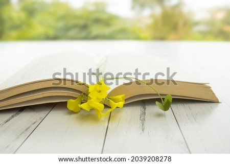 Yellow spring flowers in a book on white wooden background, reading concept, pleasant morning mood