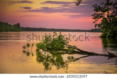 View of flooded Missouri River at sunset  with fallen tree in foreground and distant forest in background