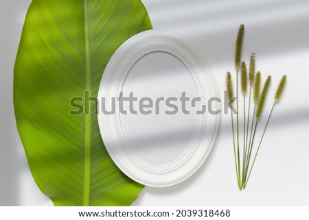 Composition with round oval white blank wooden frame laying on green leaf with green field plants and shadow overlay. 