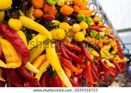 Close-up of bunches of peppers of various colors displayed in a street vegetable market on the island of Mallorca. Image of the Mediterranean diet and gastronomy
