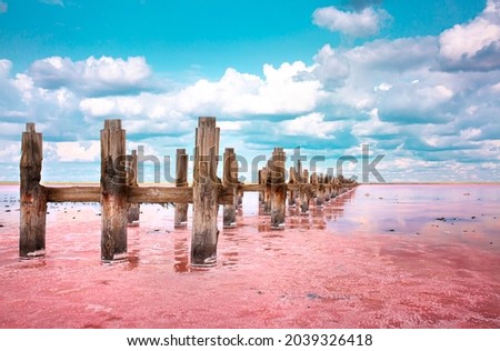 The pink lake is a beautiful landscape, unusual nature. A unique rare natural phenomenon. Salt lake with pink algae. Beautiful landscape. Royalty-Free Stock Photo #2039326418