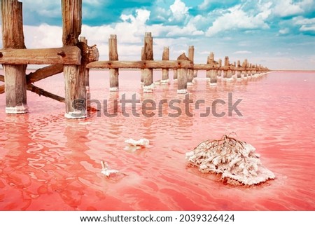 The pink lake is a beautiful landscape, unusual nature. A unique rare natural phenomenon. Salt lake with pink algae. Beautiful landscape. Royalty-Free Stock Photo #2039326424