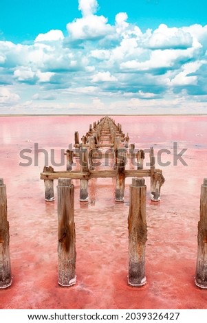 The pink lake is a beautiful landscape, unusual nature. A unique rare natural phenomenon. Salt lake with pink algae. Beautiful landscape. Royalty-Free Stock Photo #2039326427